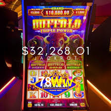 78Ww: A Experiência de Casino com Jogos de Mesa ao Vivo